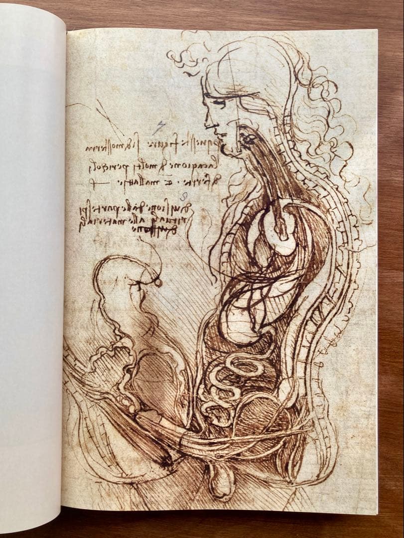 レオナルド・ダ・ヴィンチ 全絵画作品・素描集 - メルカリ