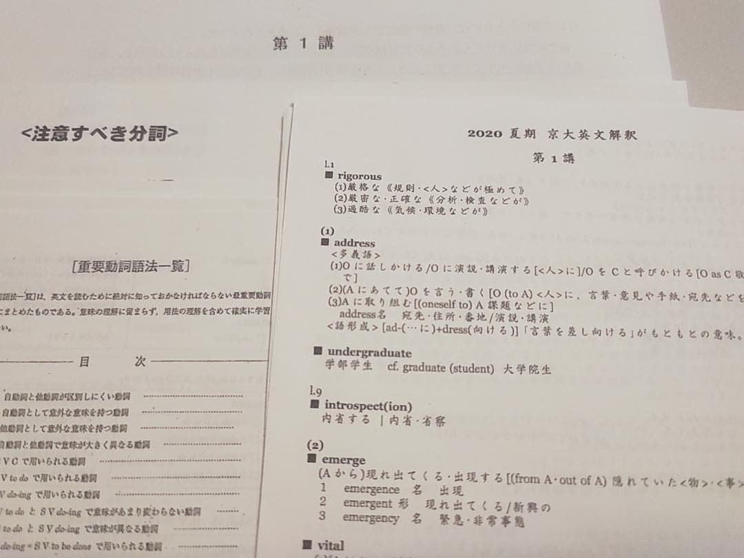 河合塾の玉置全人先生による夏期京大英文解釈プリントフルセット 英語