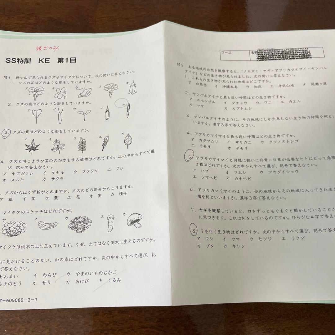 サピックス 理科 6年 KEプリント SS特訓 慶應 慶應知識問題対策