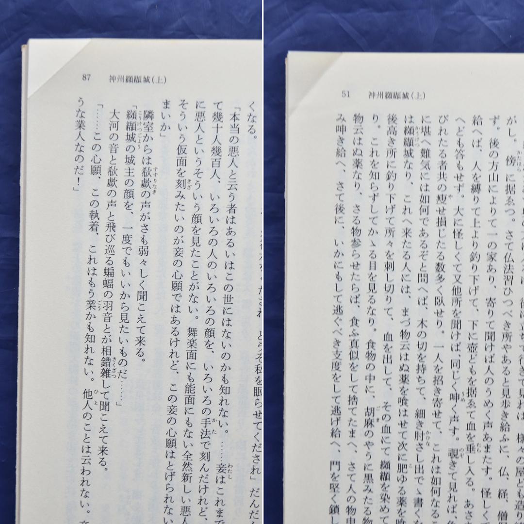 国枝史郎伝奇文庫　全２８巻揃　講談社　横尾忠則装幀