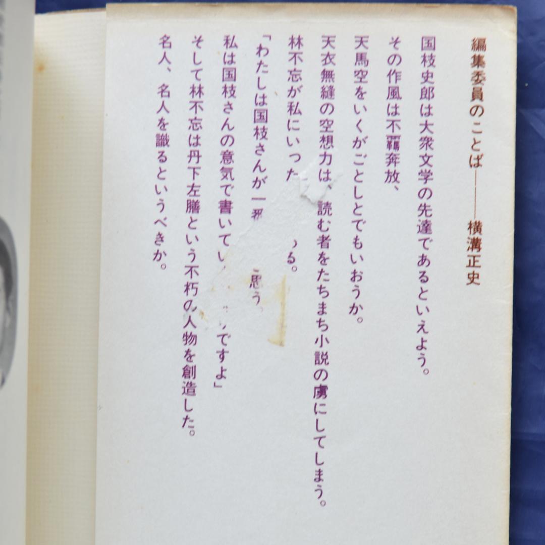 国枝史郎伝奇文庫　全２８巻揃　講談社　横尾忠則装幀