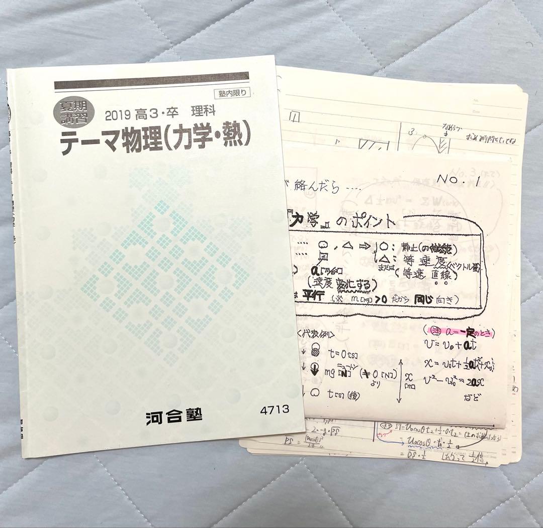 河合塾 2019夏期講習 テーマ物理(力学・熱) 村木儀彦先生 - メルカリ