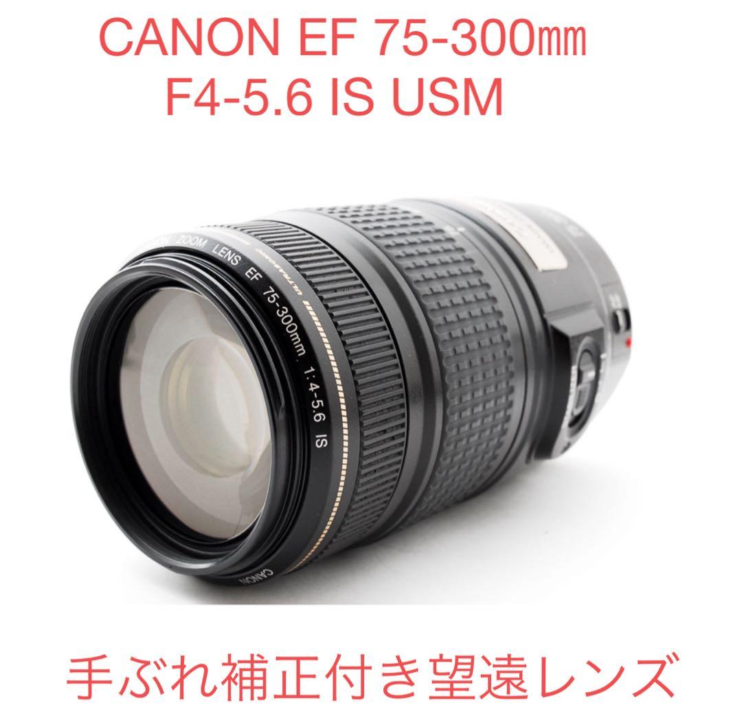 美品☆手ぶれ補正付き☆CANON EF 75-300㎜F4-5.6 IS USM EF75-300mm f/4-5.6 IS USM - Canon Camera Museum
