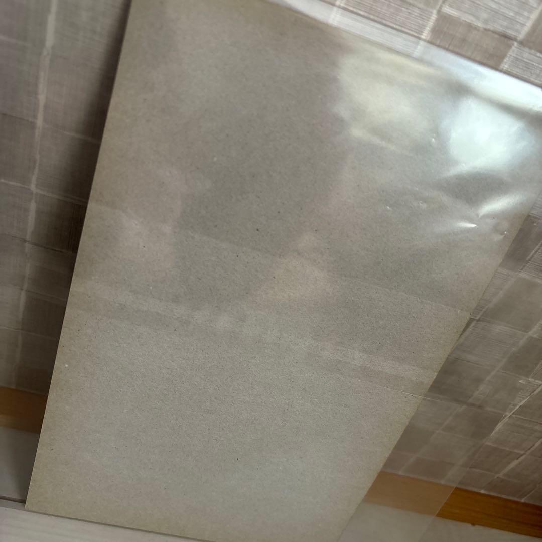 聖闘士星矢 海皇の野望 カードダス 専用 ディスプレイ 台紙 20