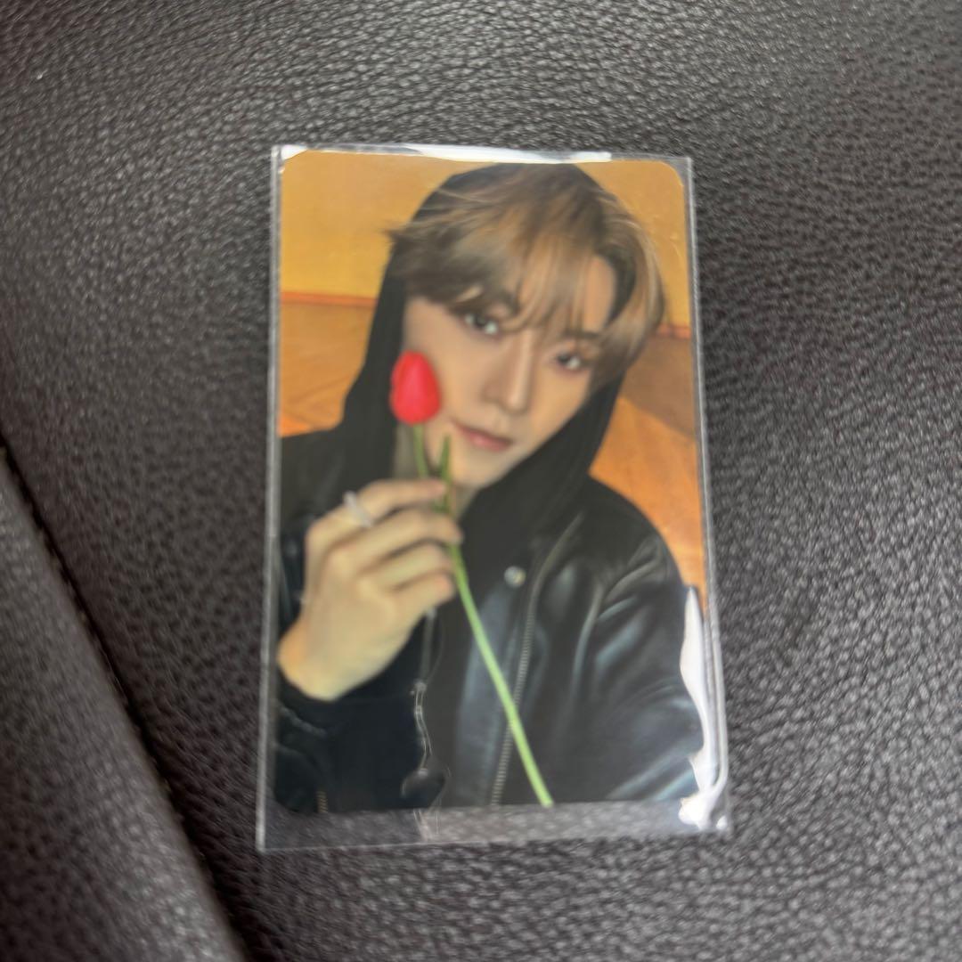 ALD1 サノク シンロン トレカ ALD1 ショーケース サノク トレカ セット｜Yahoo!フリマ（旧PayPayフリマ）