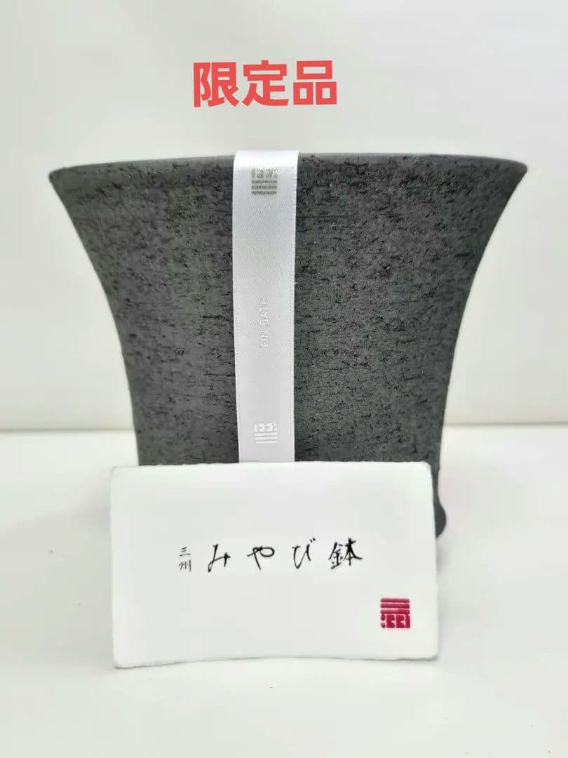 限定品 三州みやび鉢 trashモデル 鶴仙園 パキプス 亀甲竜 - メルカリ