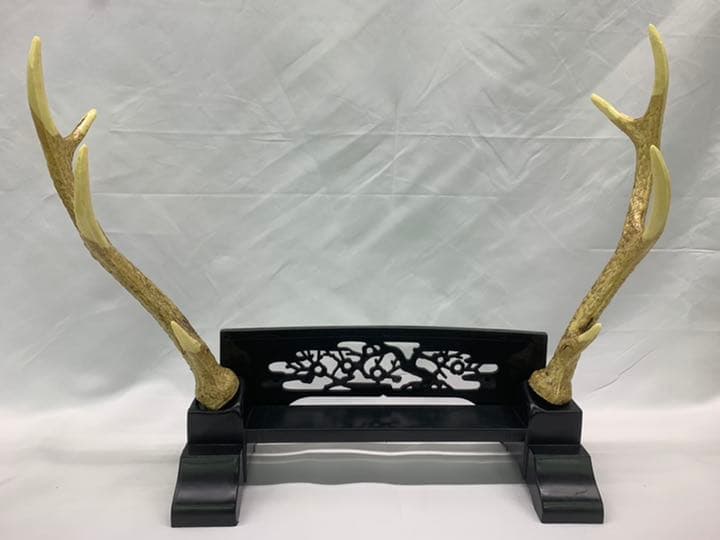 五月人形　鹿の角　置物　太刀飾り台　飾り台　兜飾り　鎧飾り　道具 五月人形の飾り方を写真と一緒に解説！最適な場所についても説明