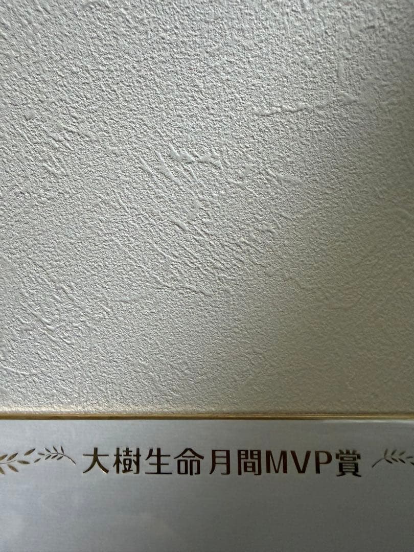 ソフトバンクホークス モイネロ選手 色紙 - メルカリ