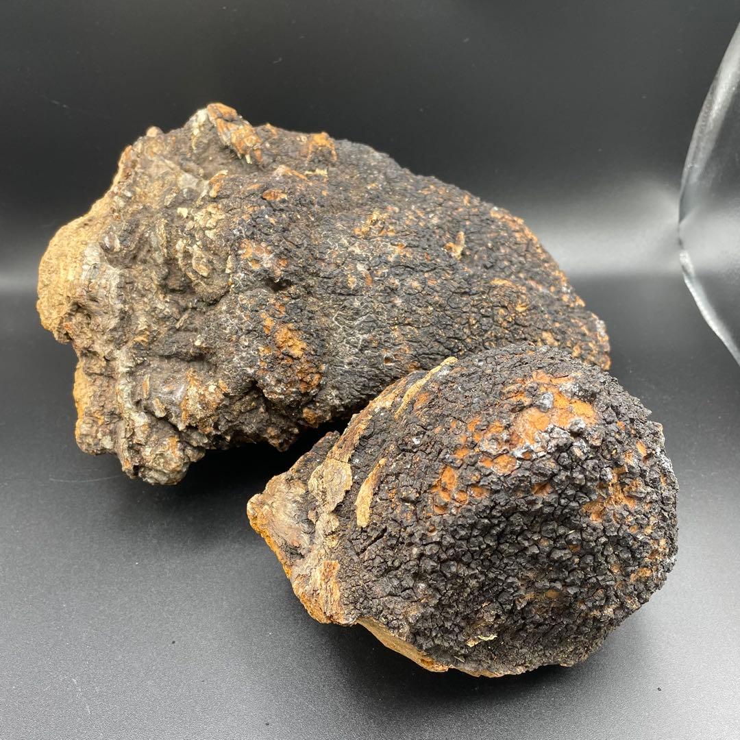 カバノアナタケ 原塊 2点セット 計約2.15kg（1.5kg＋0.65kg） カバノアナタケ 原塊 2点セット 計約2.15kg（1.5kg＋0.65kg） - メルカリ