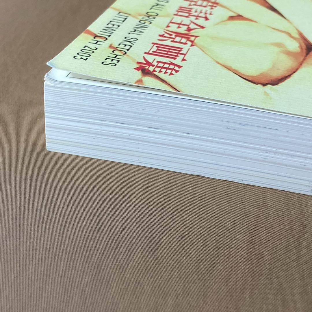 ⭐白詰草話 全原画集⭐大槍葦人⭐初版⭐LITTLE WITCH／ゲーム - メルカリ