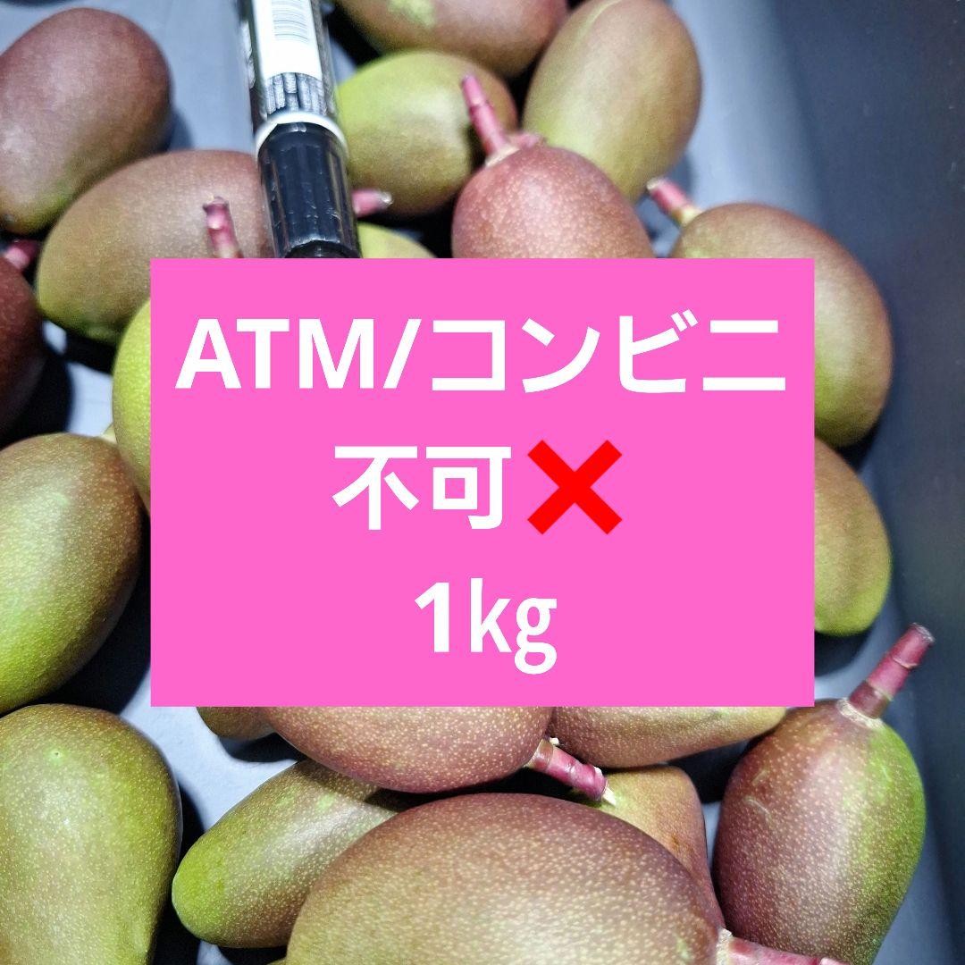 摘果マンゴー 1㎏ Size15~65g - メルカリ