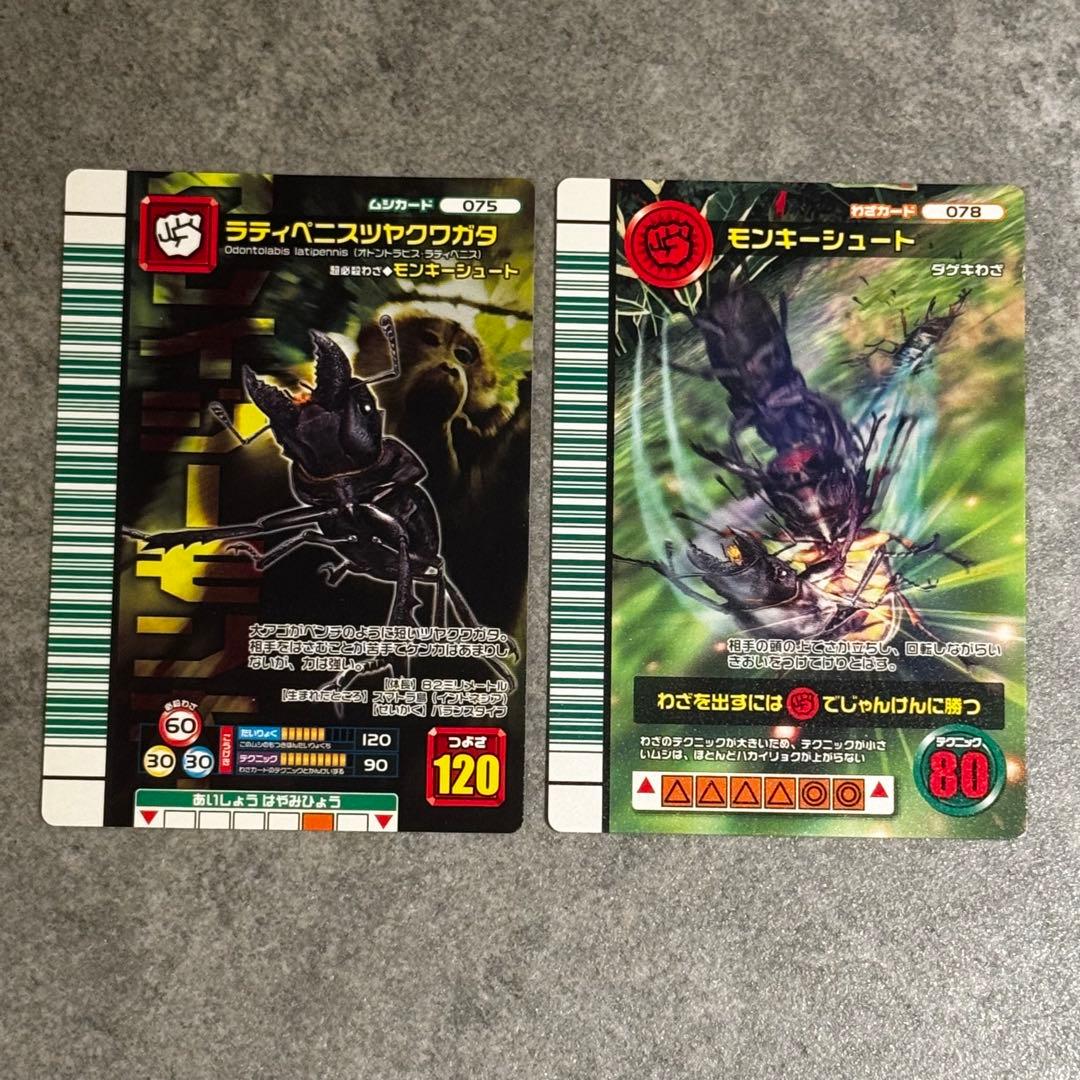 ムシキング 2007ファースト ラティペニスツヤクワガタ&モンキー