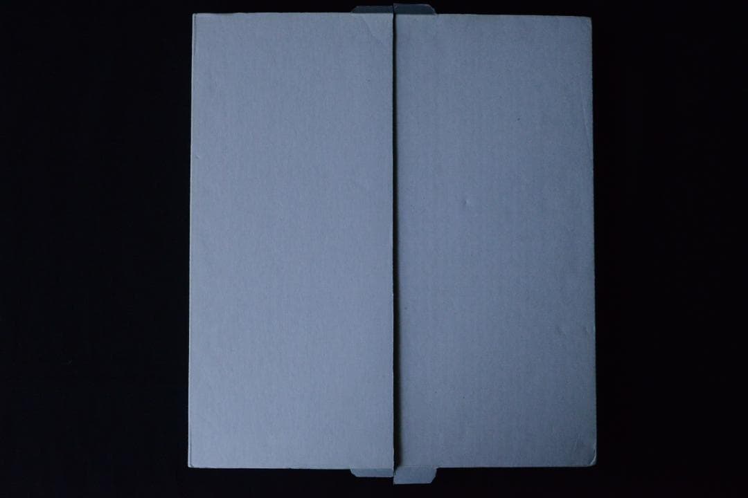 The Man in the Crowd:Garry Winogrand☆値下げ - メルカリ