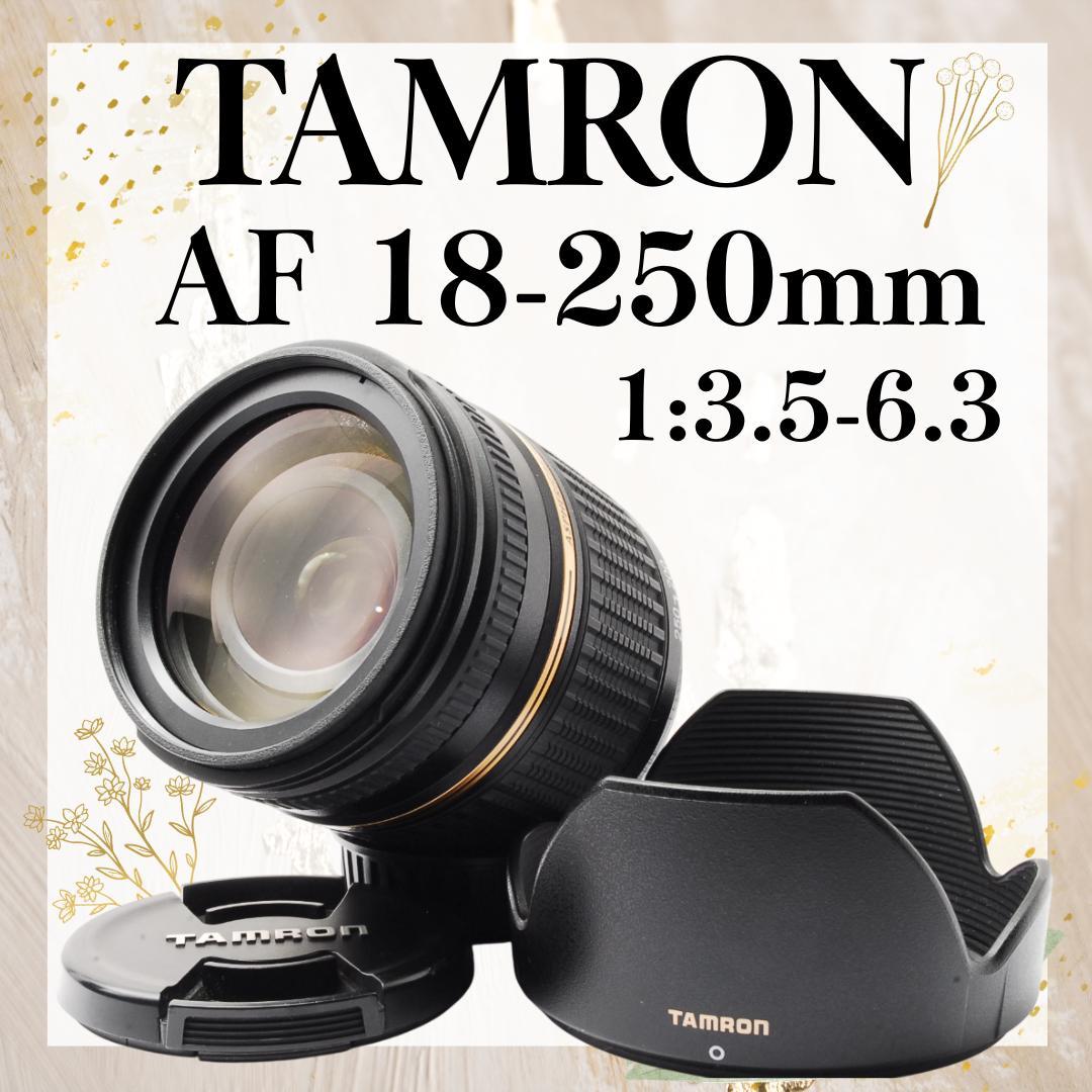 付替不要✨TAMRON AF 18-250mm f3.5-6.3 Nikon - メルカリ