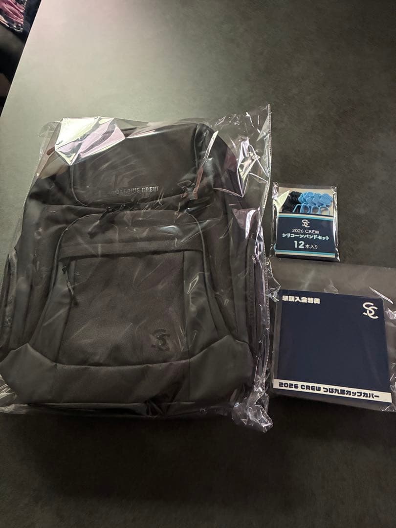 新品未使用最新2026モデル ヤクルトスワローズ クルーバックパック