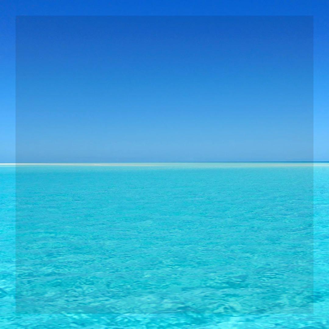 ニナファーム クリームエクスプレシオン プルミエール フェイス