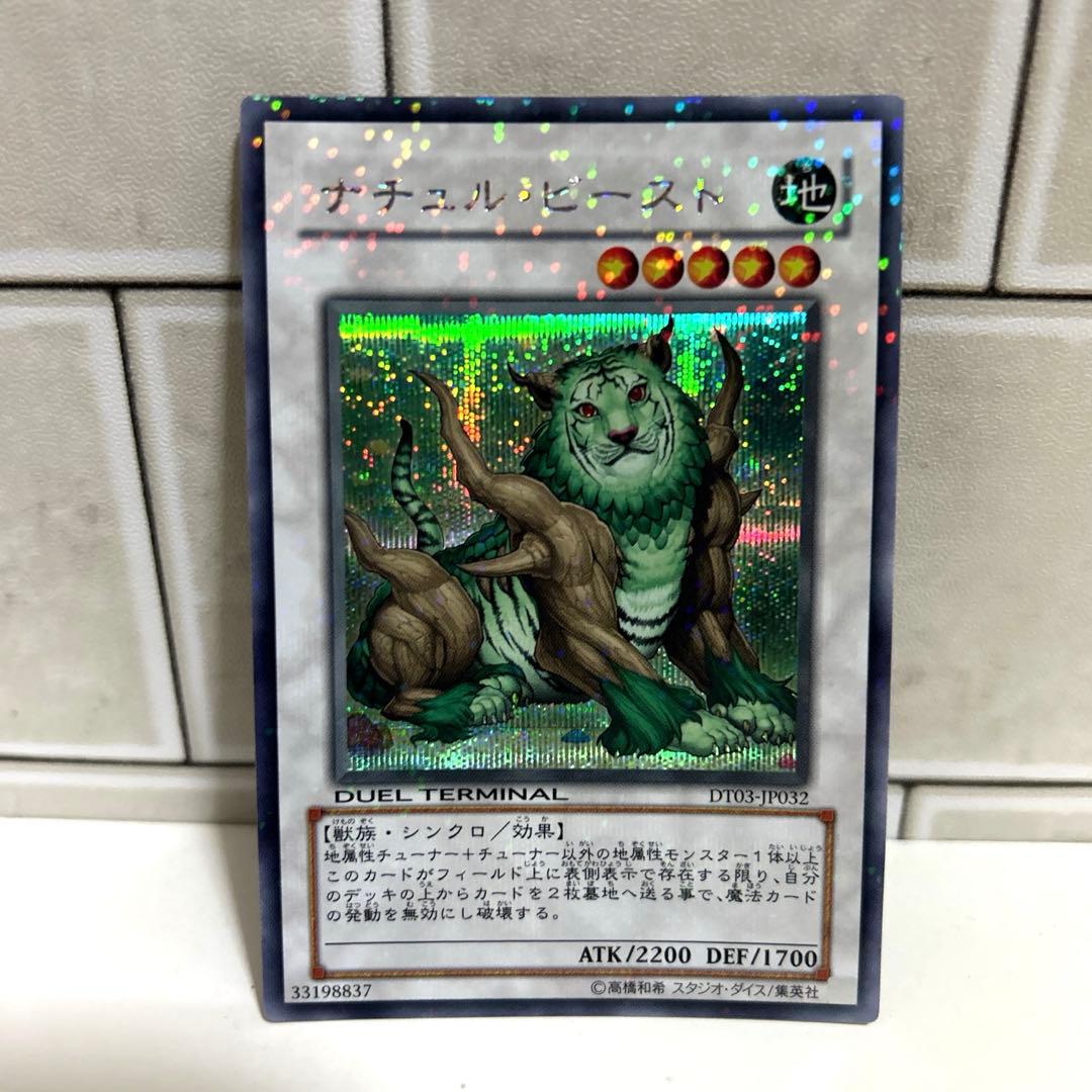 ナチュルビースト DT03 シークレット - メルカリ