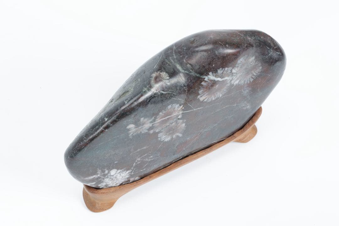 菊花石 紋石 鑑賞石 1.5kg 台座付 天然石 原石 水石 盆石 飾石 古美術