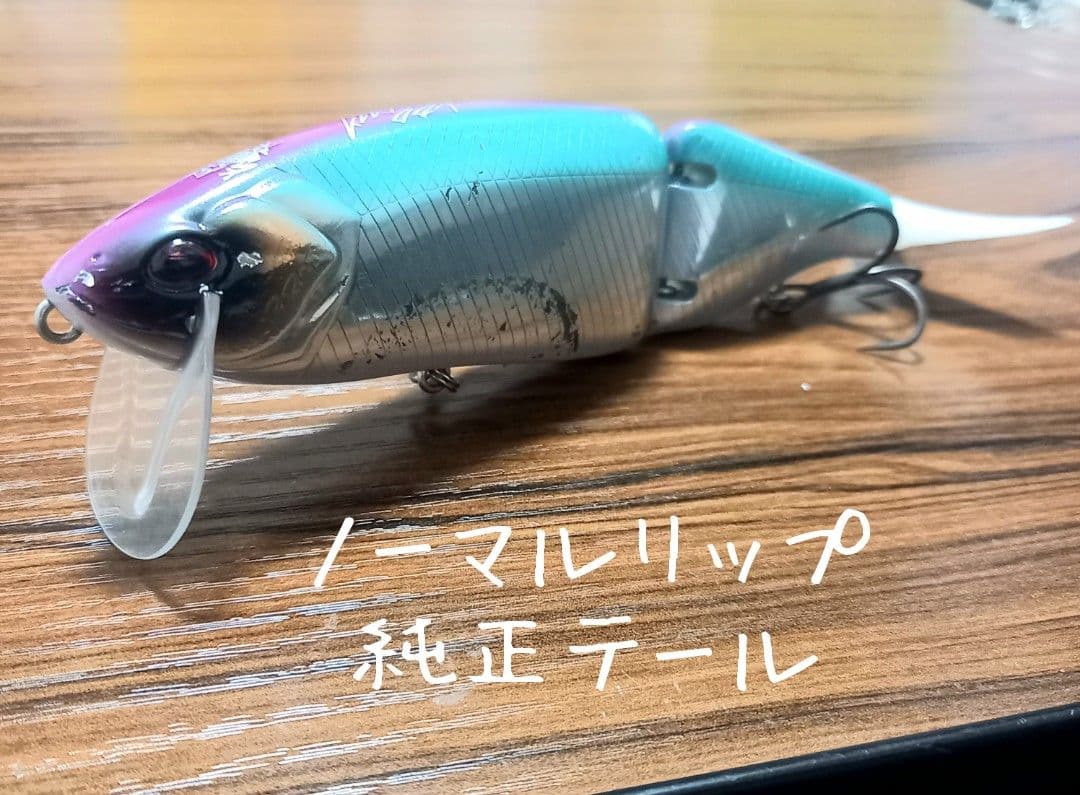 タッキー様専用タイニークラッシュ 、TRIBE WEED vr2、リップ、テール