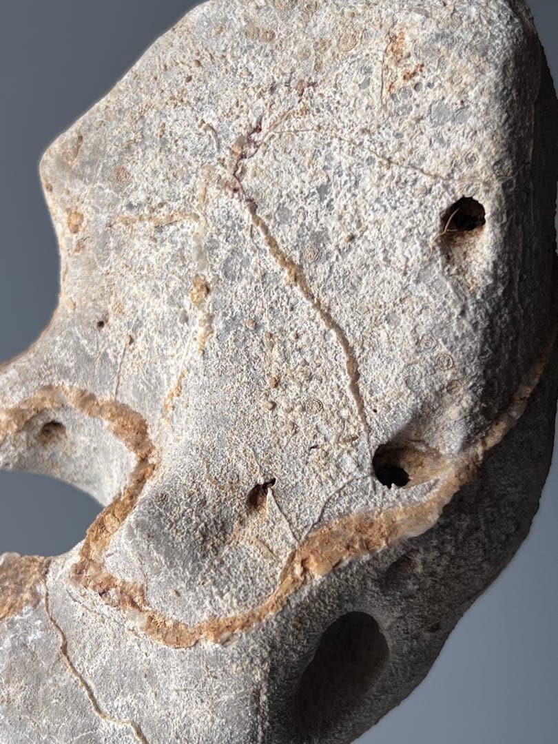 清影」 天然石 太湖石 玲瓏石 鑑賞石 飾り石 中国美術 置物 水石 黑檀