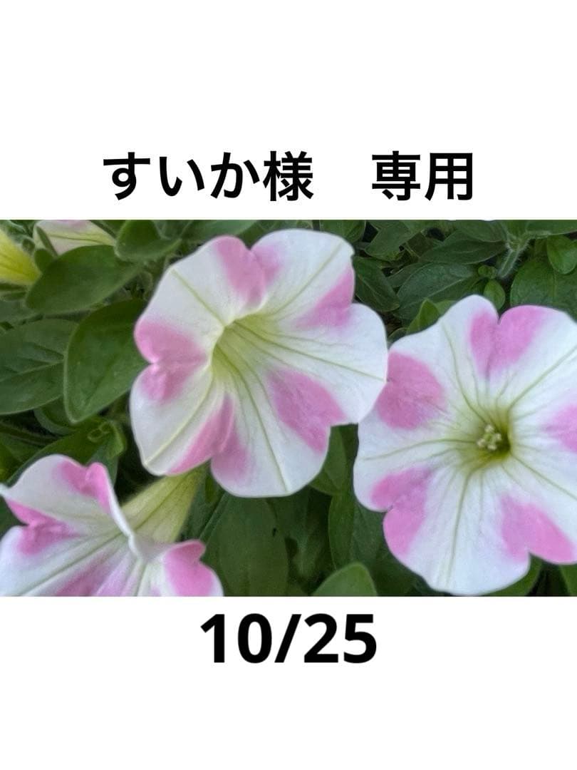 専用です。 高性能仕様