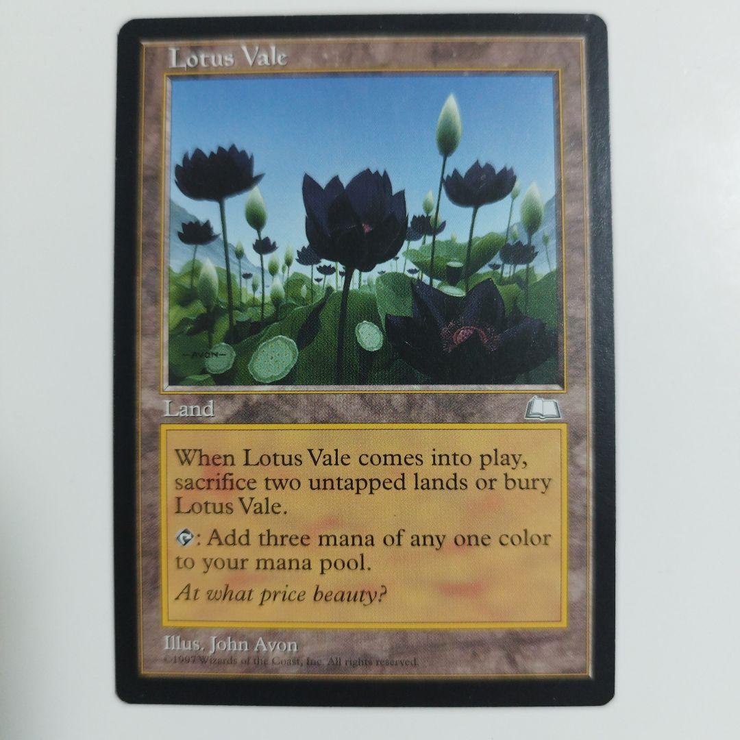 MTG 水蓮の谷間 英語 NM - メルカリ