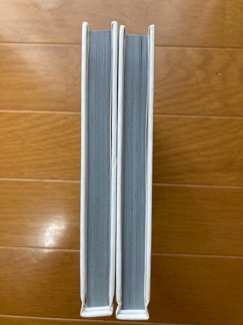 spinoza スピノザ1.2巻セット初版本 小池圭一著