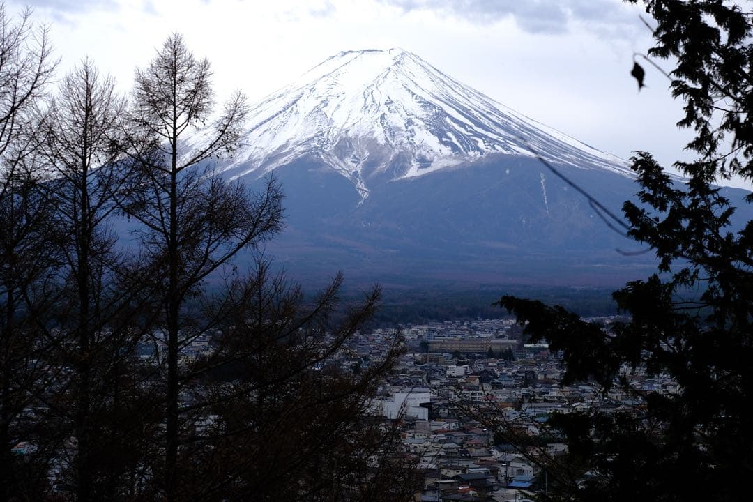 【即購入OK】FUJIFILM XC50-230mm F4.5-6.7 訳あり品