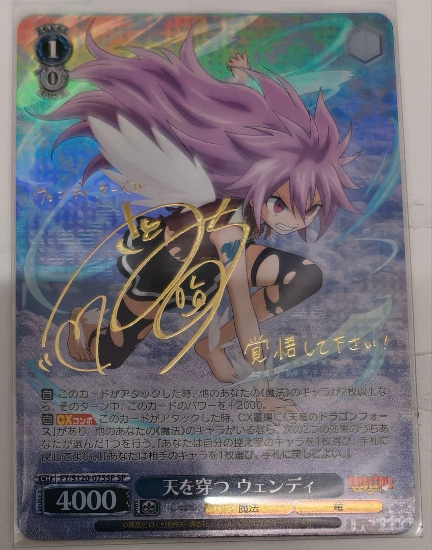 FAIRY TAIL 100年クエスト」SP「天を穿つ ウェンディ」 - メルカリ