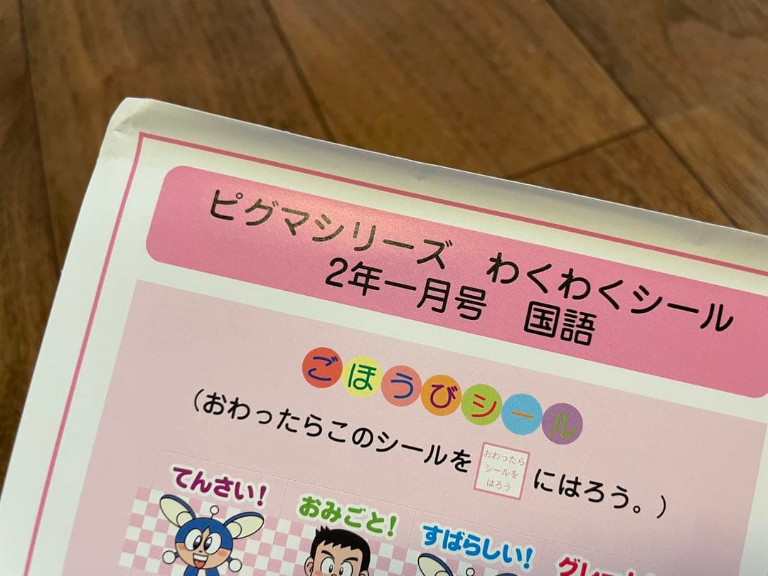 えり様専用 【未記入】サピックス ピグマ 2年生 通信 - メルカリ