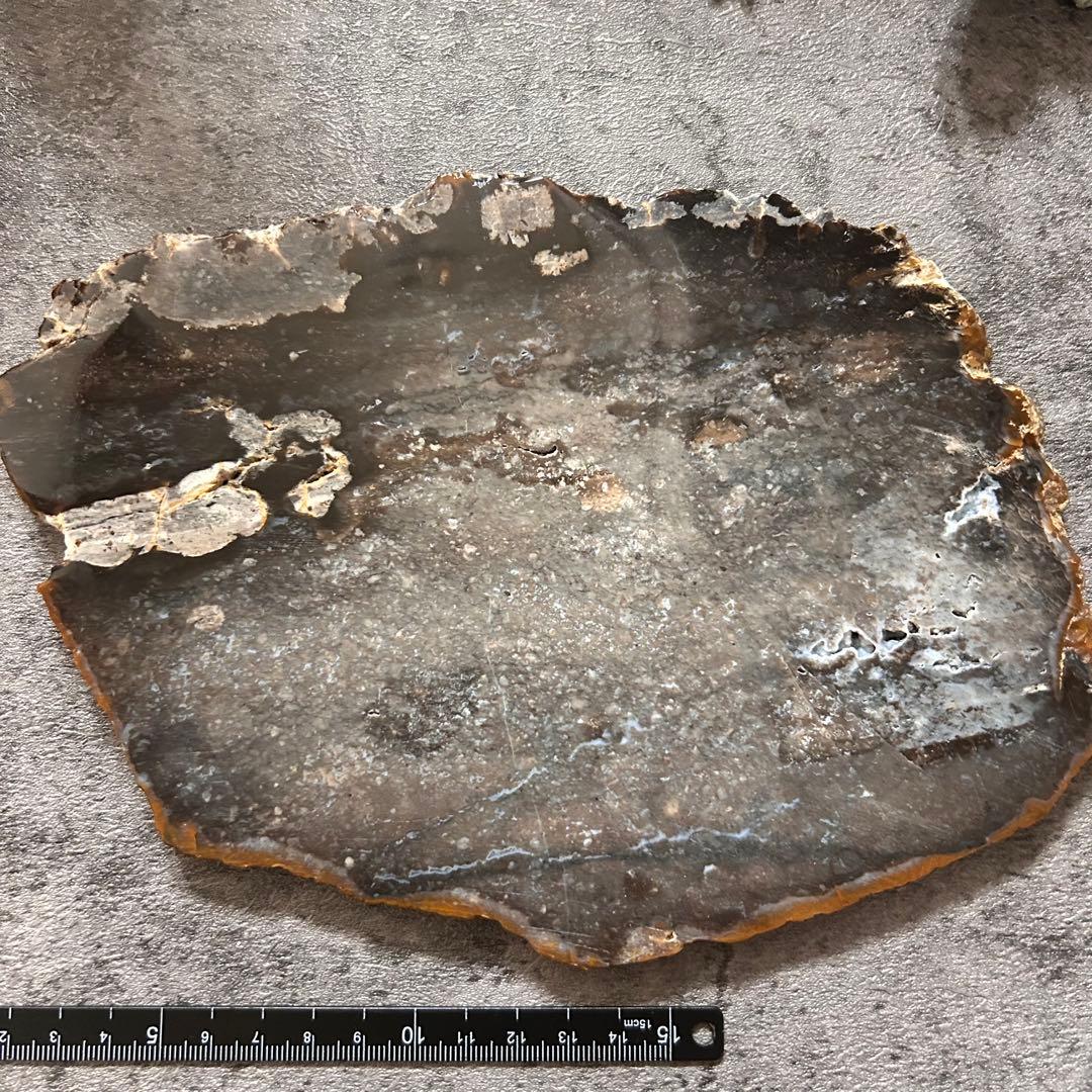 ⭐︎天然石　珪化木　スライス 珪化木スライス ¥1600 簡単に言うと木の化石で石のように固いです