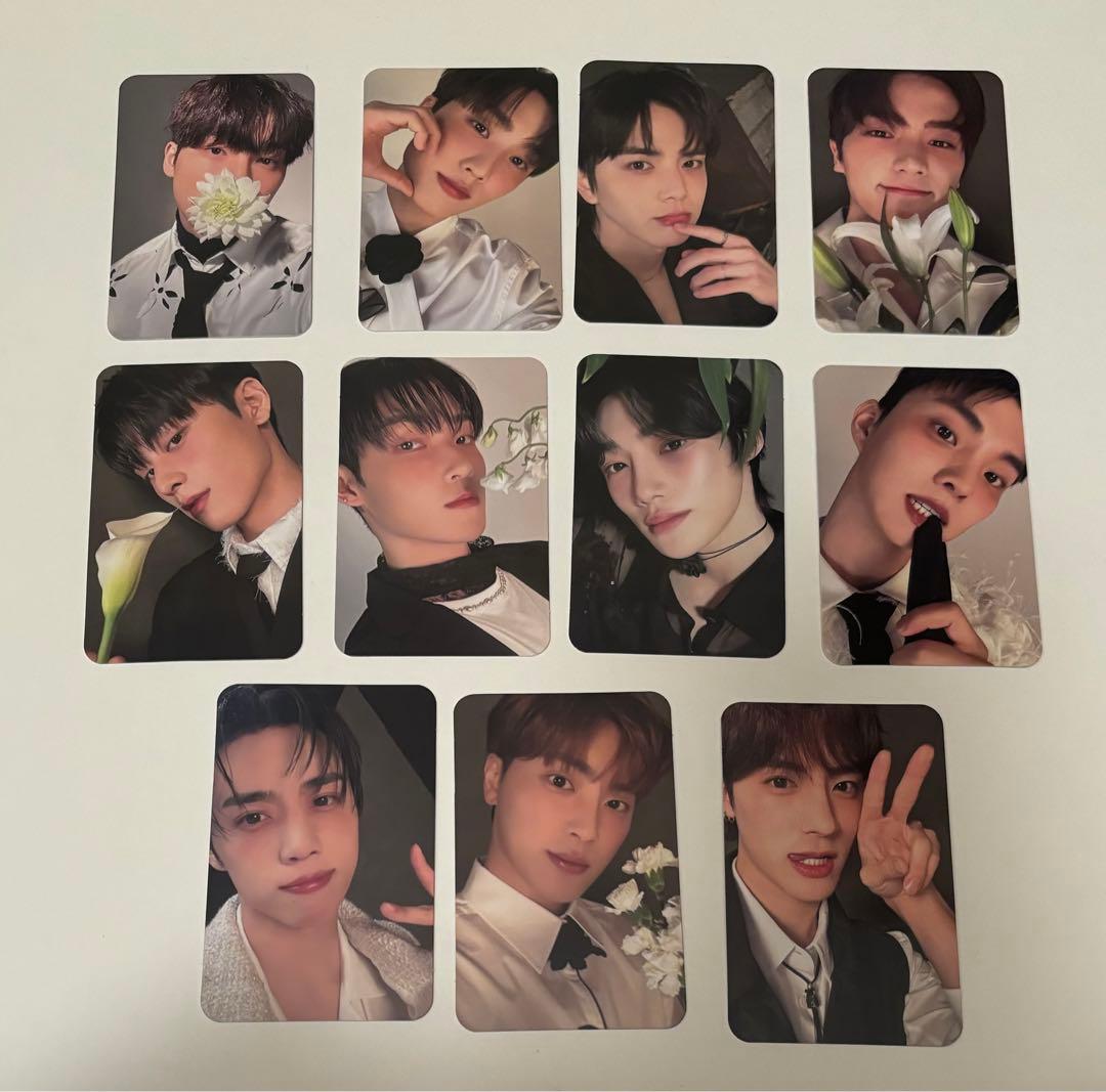 THEBOYZ ドボイズ ドボ ドビジャパン 全員トレカセット - メルカリ