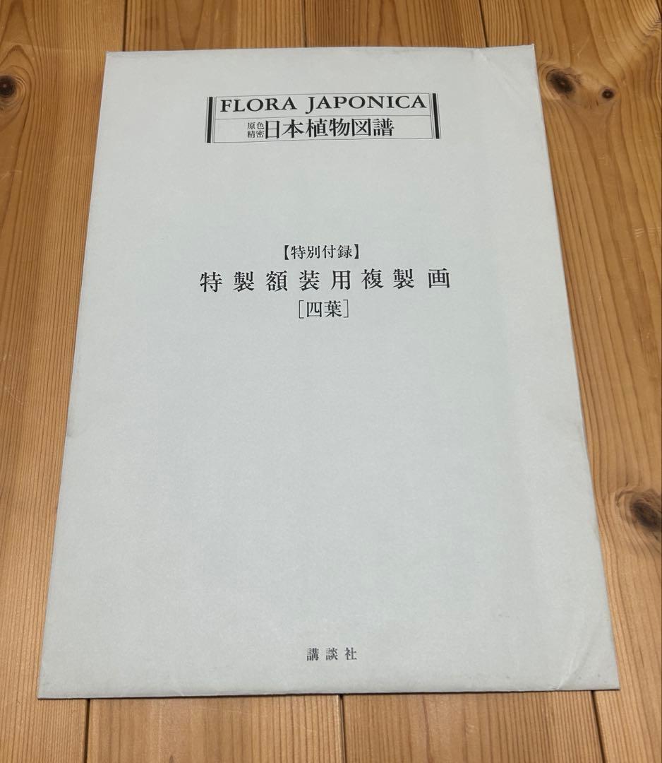 完品希少】原色精密 日本植物図譜 シーボルト 講談社 複製画4枚付 1984