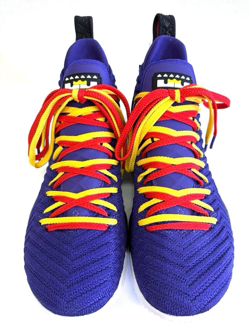 NIKE LEBRON XVI \"MARTIN\" 28cm 未使用品