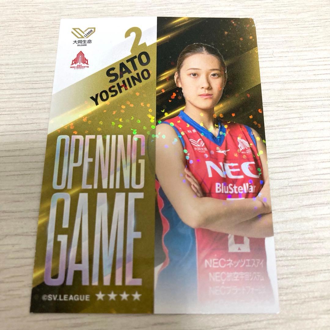 非売品】NECレッドロケッツ川崎 ♯2 佐藤淑乃選手 カード - メルカリ
