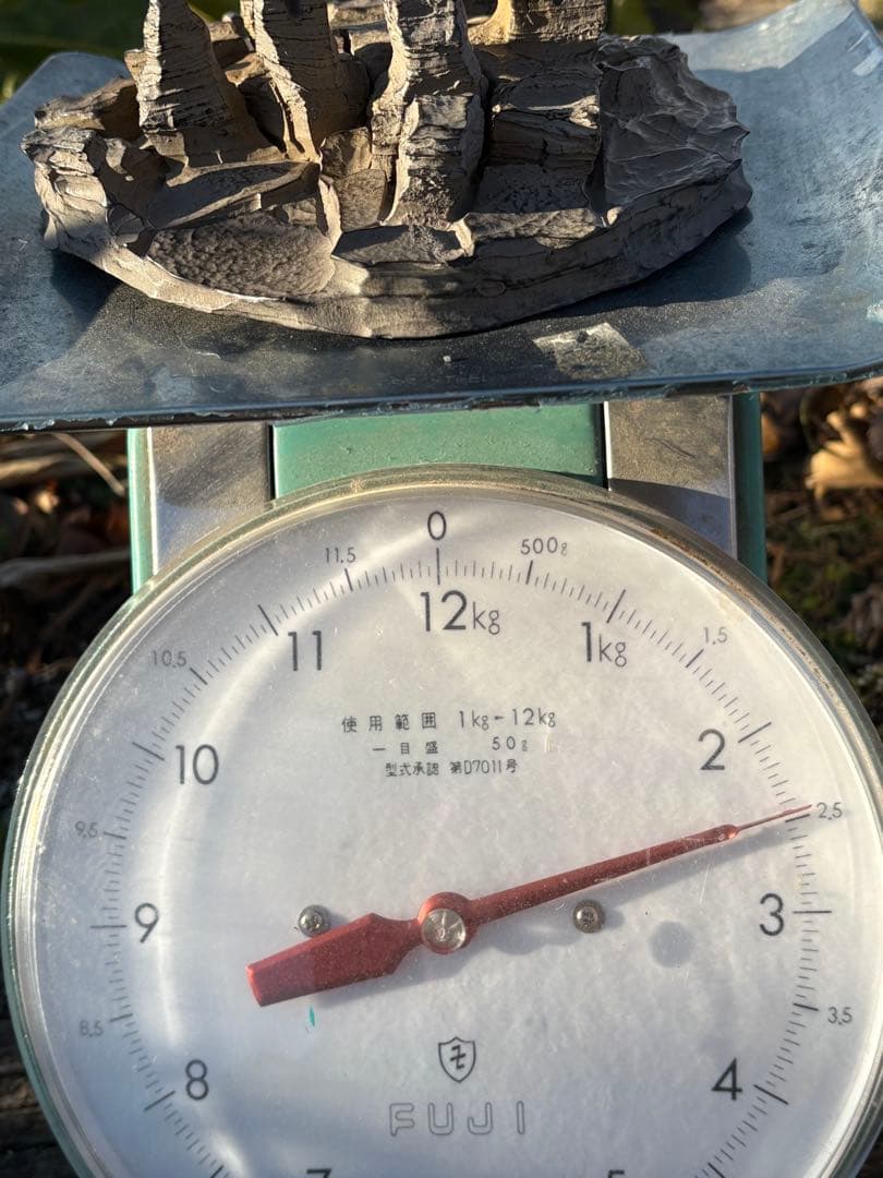 ❗️✳️超レア　❤️*天然形 極みの逸品 夜郎・古銅石 寺　貴州産 2.4kg