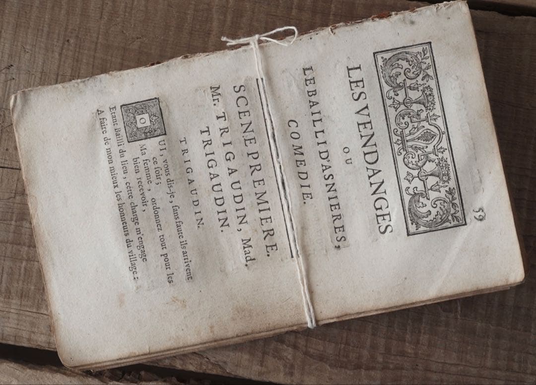 ☆残り僅か【18世紀フランスアンティーク古書断片I】活版印刷