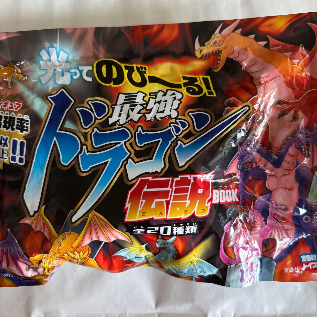 新品未開封】光ってのびーる最強ドラゴン伝説BOOK 宝島社 - メルカリ