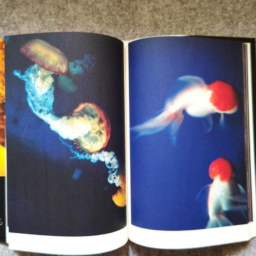 ◇古本◇蜷川実花サイン入り◇ノワール◇女性写真家、映画監督◇蜷川