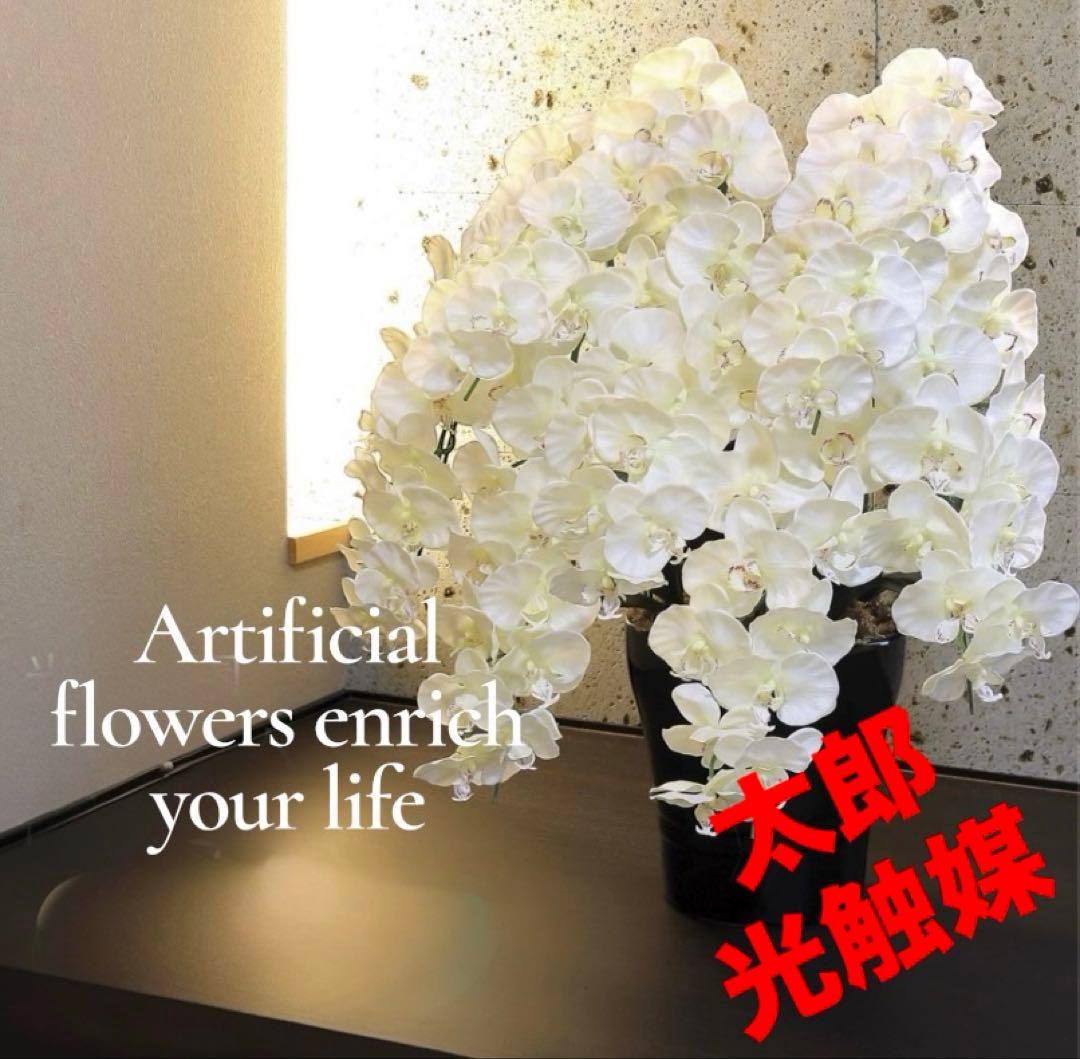 光触媒　観葉植物　ウォールグリーン　フェイクグリーン　プレミアム胡蝶蘭7本立W 楽天市場】光触媒 胡蝶蘭 フェイクグリーン 壁掛け 造花 フラワー