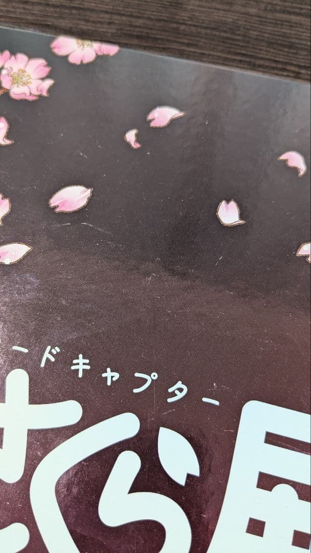 カードキャプターさくら展 -魔法にかけられた美術館-