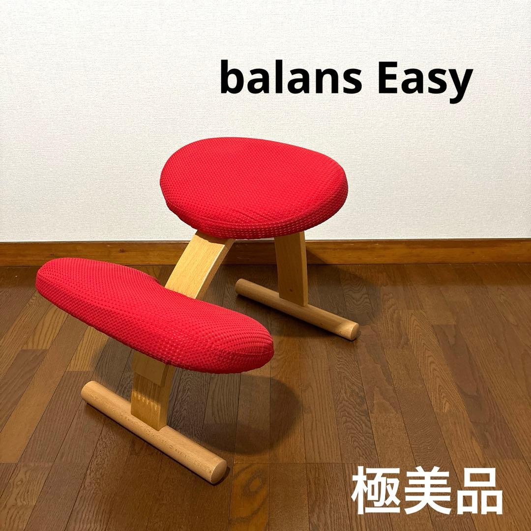 【極美品】 バランスイージー レッド 通常フレーム 防水カバー付き イージーカバー レンズオーク ニコン AF-S NIKKOR 200-500mm f/5.6E ED