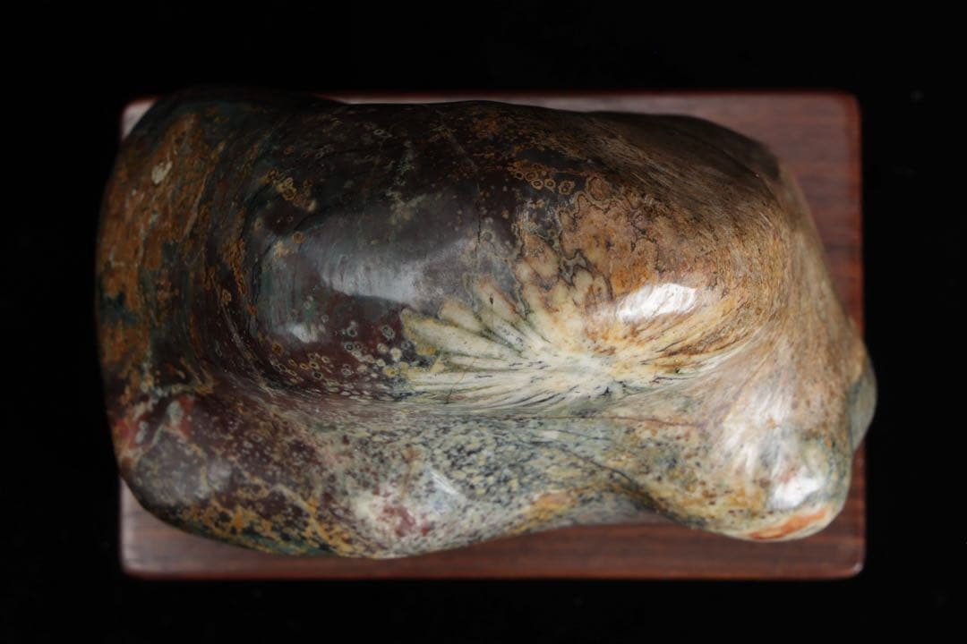 菊花石 白菊 紋石 台座付 1.4kg 鑑賞石 原石 天然石 水石 盆石 鉱物