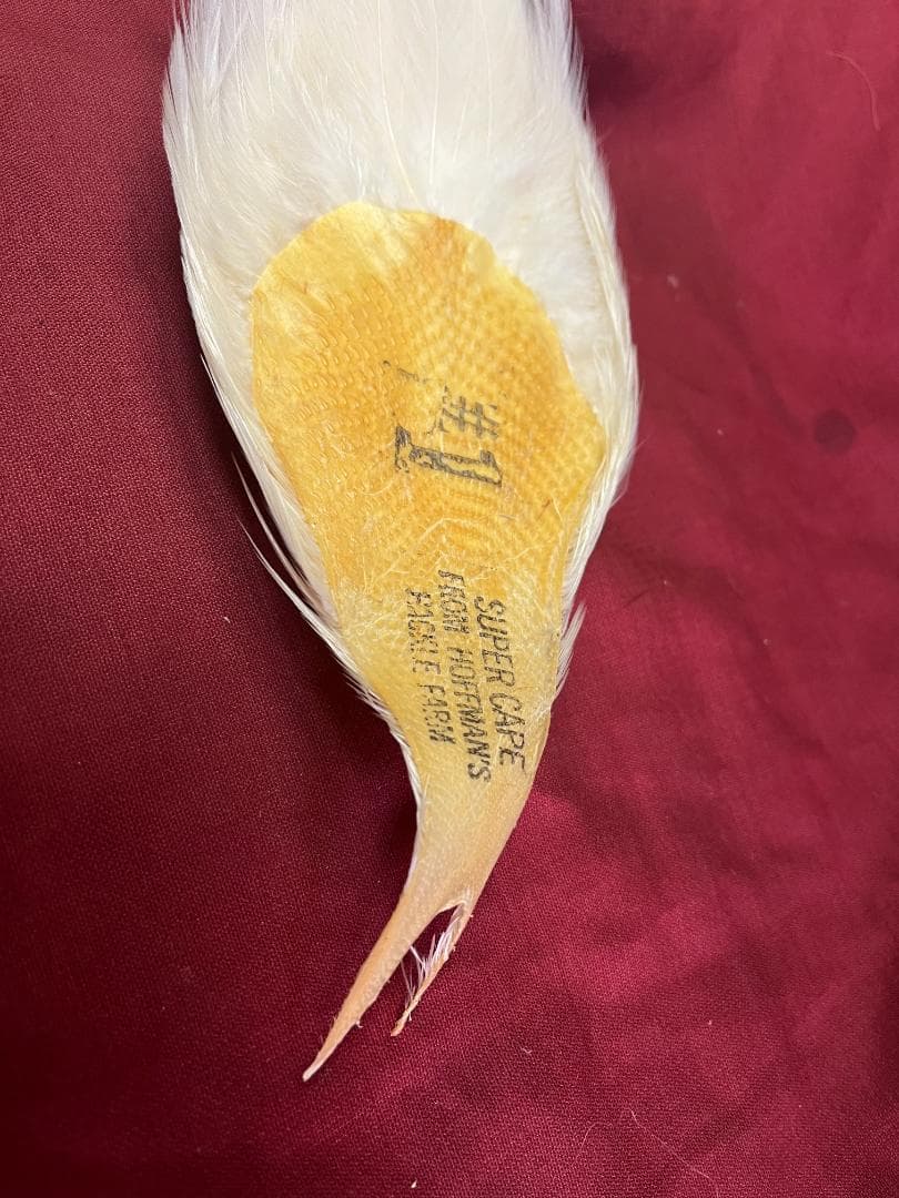 ホフマン　ハックルケープ 楽天市場】【公式】パックマン ケーブルバンド パックマン ゴースト