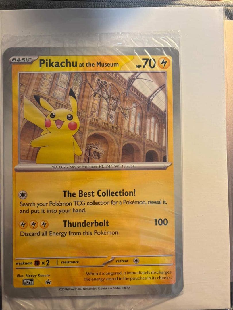 d*0様 未開封 Pikachu at the Museum ピカチュウ 博物館 - メルカリ