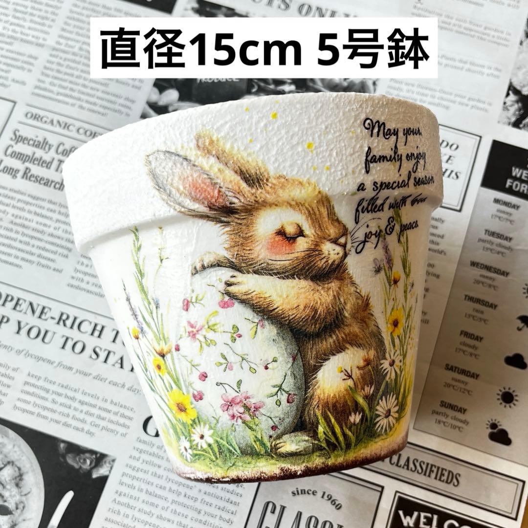 No.122 リメイク鉢 5号鉢 リメ鉢 多肉植物 - メルカリ