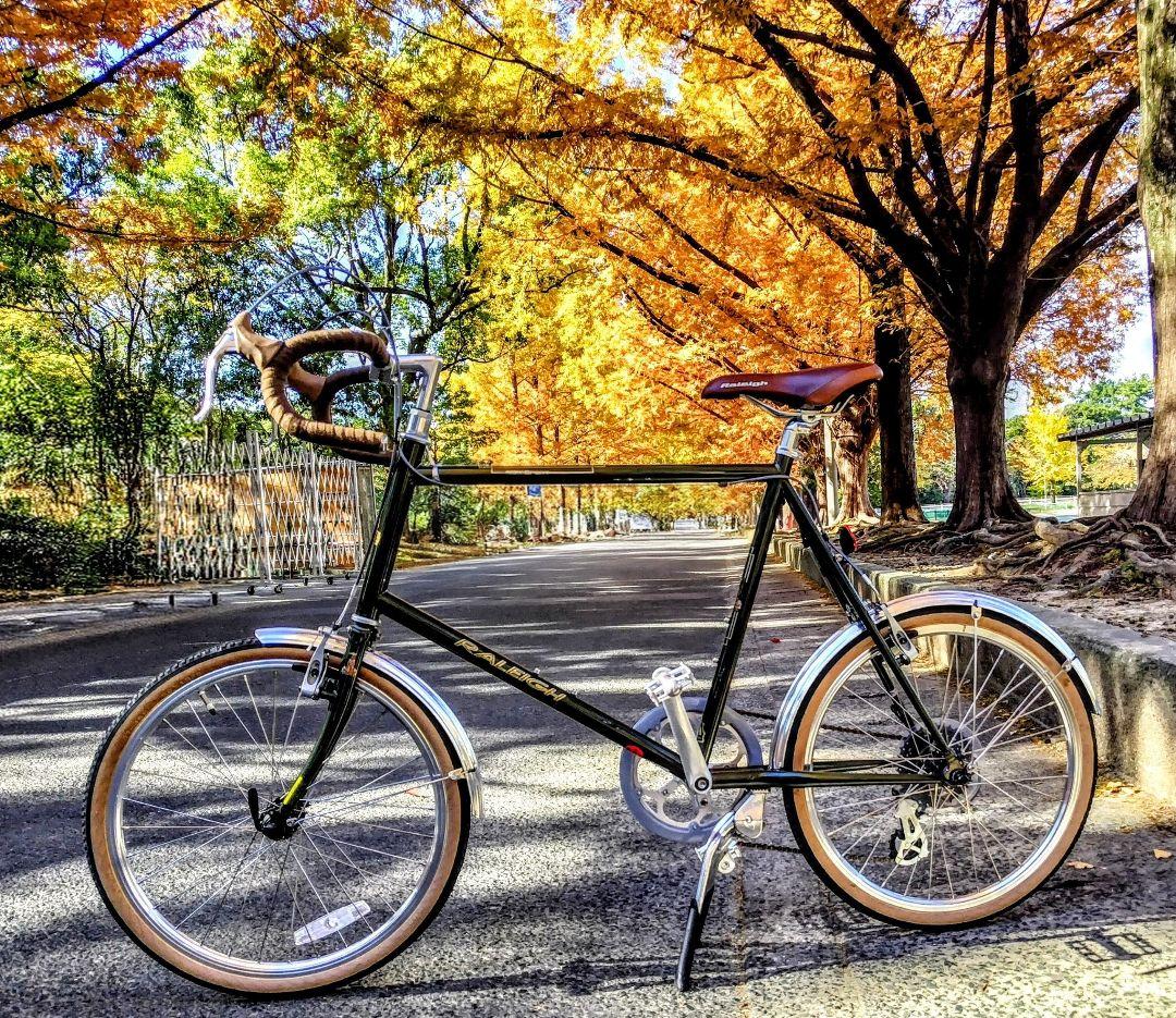 RALEIGH ラレー RSS RSW SPORT RSWカスタム - メルカリ