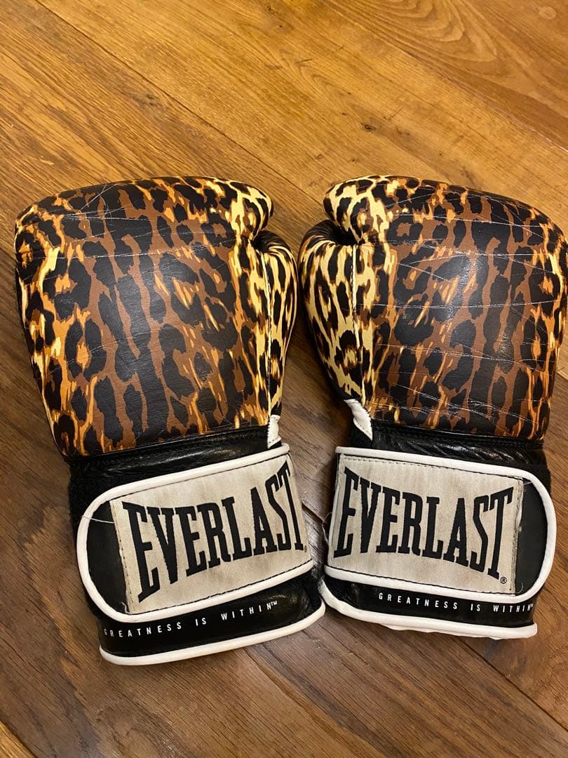 元WBA世界チャンピオン！実使用練習グローブ ボクシング
