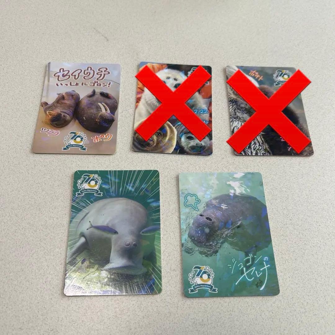 鳥羽水族館 70周年記念トレーディングカード レアカード3枚セット 鳥羽水族館》TOBA AQUARIUMコレクションカード開封してみた《創立70