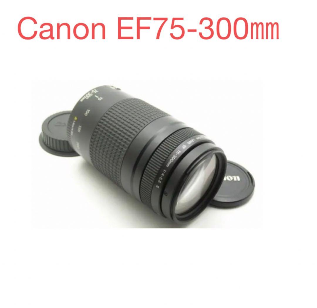 キヤノン/大迫力の300㎜/大望遠レンズ/Canon EF75-300 II キヤノン（Canon） Canon EF 75-300mm f/4-5.6 III 美品 EFマウント